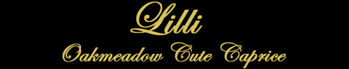 Oakmeadow Cute Caprice - Lilli